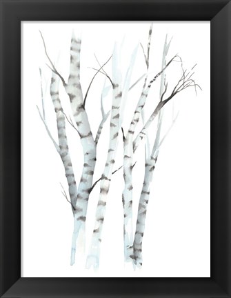 Framed Aquarelle Birches II Print