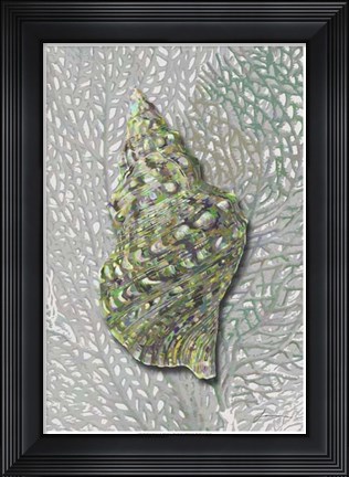 Framed Hifi Triton I Print