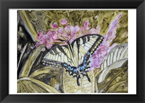 Framed Butterfly in Nature II Print