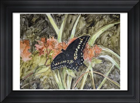 Framed Butterfly in Nature III Print