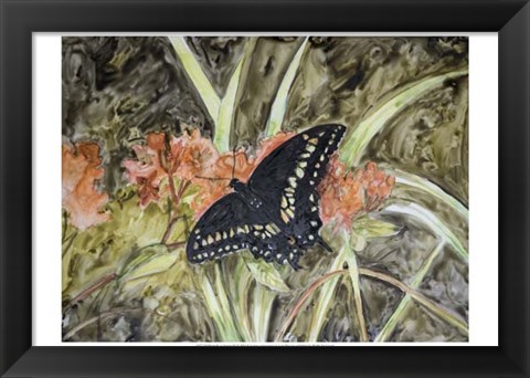 Framed Butterfly in Nature III Print