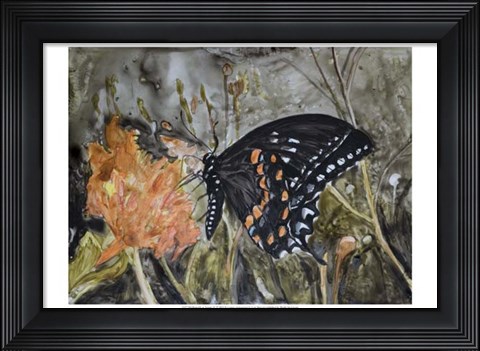 Framed Butterfly in Nature IV Print