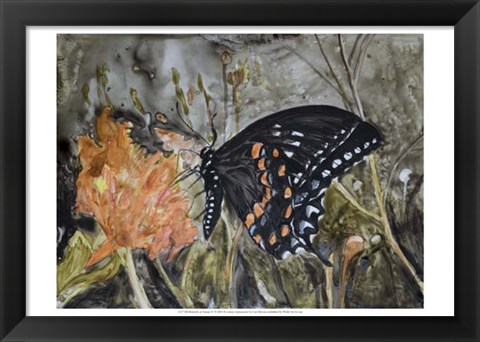 Framed Butterfly in Nature IV Print