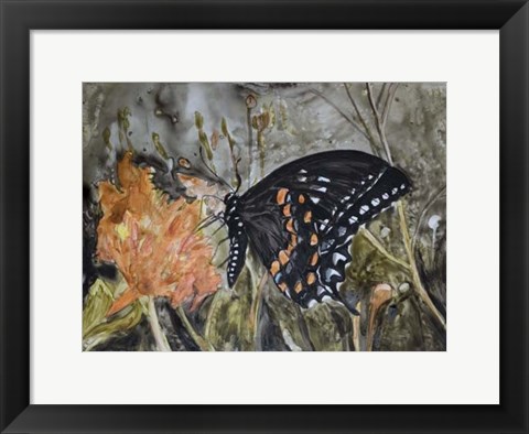 Framed Butterfly in Nature IV Print