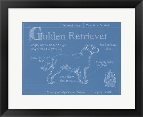 Framed Blueprint Golden Retriever Print