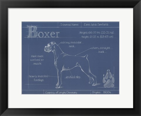 Framed Blueprint Boxer Print