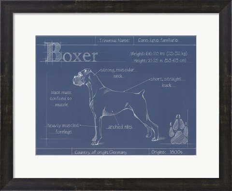 Framed Blueprint Boxer Print