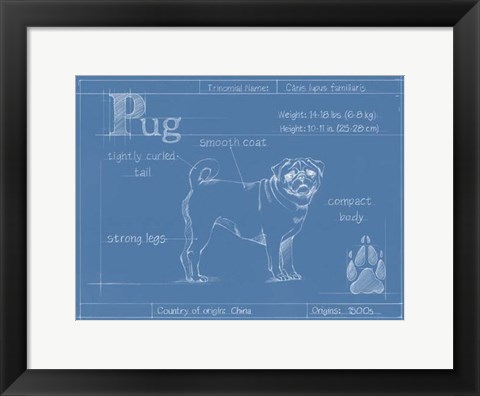 Framed Blueprint Pug Print