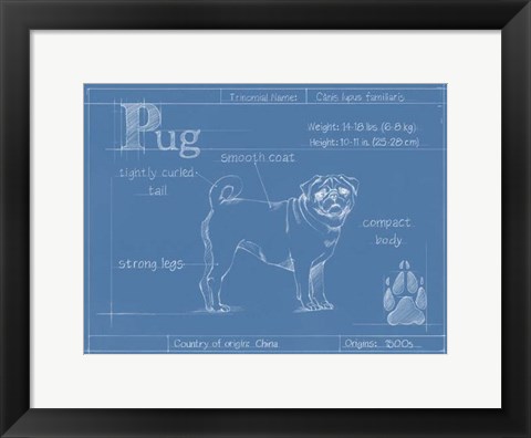 Framed Blueprint Pug Print