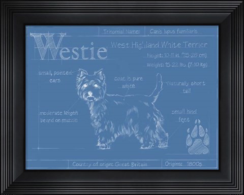 Framed Blueprint Westie Print