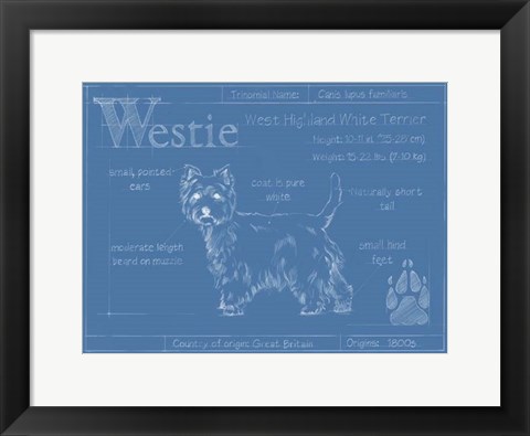 Framed Blueprint Westie Print