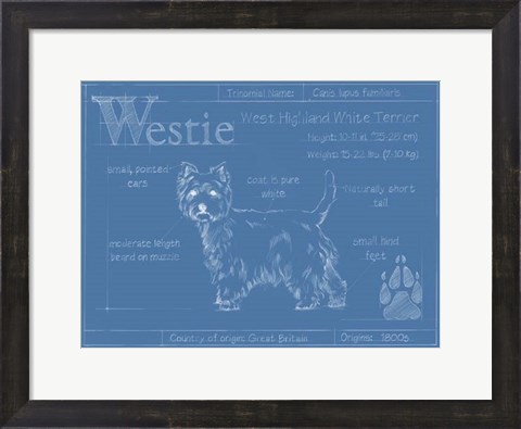 Framed Blueprint Westie Print