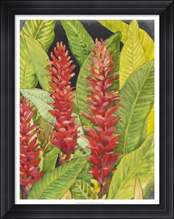 Framed Red Tropical Flowers II Print