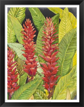 Framed Red Tropical Flowers II Print