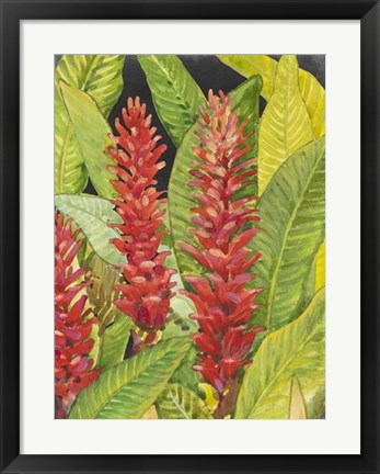 Framed Red Tropical Flowers II Print