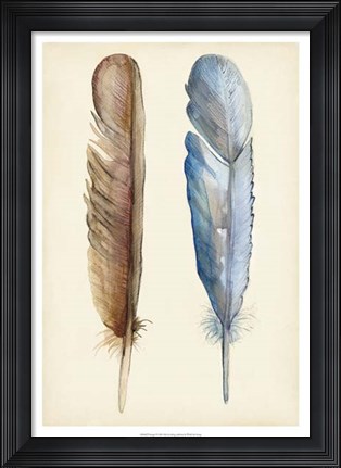 Framed Plumage I Print