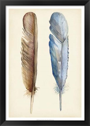 Framed Plumage I Print