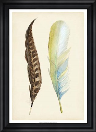 Framed Plumage II Print