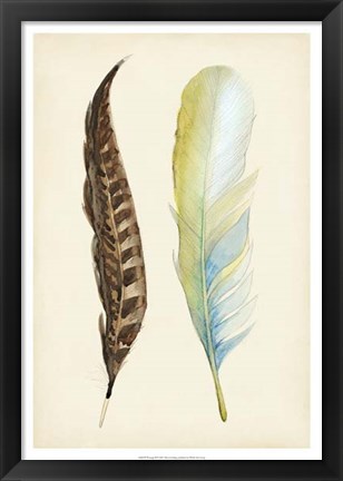 Framed Plumage II Print