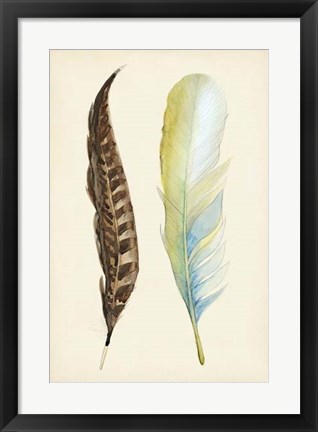 Framed Plumage II Print