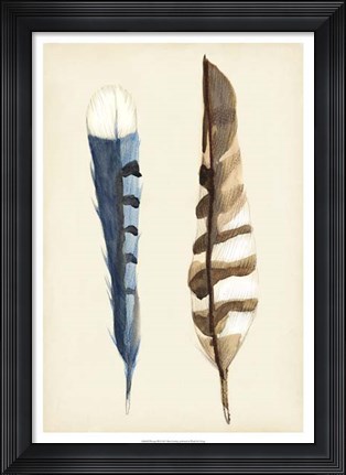 Framed Plumage III Print