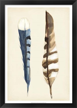 Framed Plumage III Print