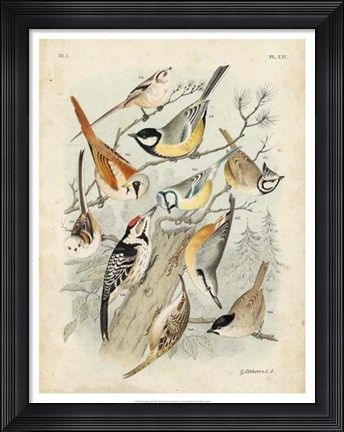 Framed Gathering of Birds II Print