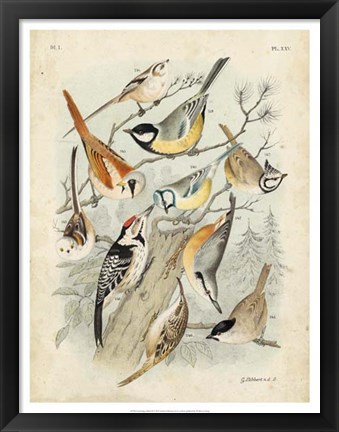 Framed Gathering of Birds II Print