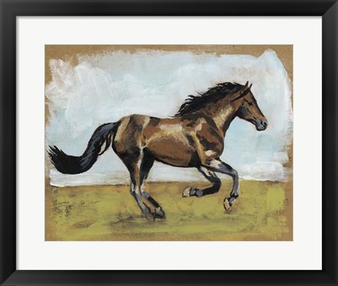 Framed Equestrian Studies I Print