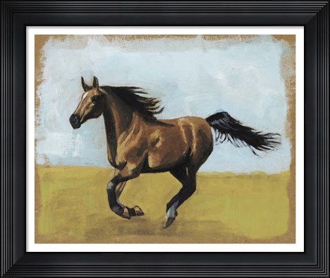 Framed Equestrian Studies II Print