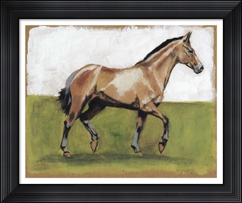 Framed Equestrian Studies III Print
