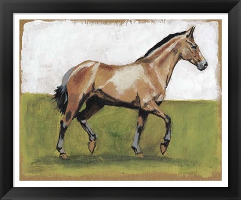 Framed Equestrian Studies III Print