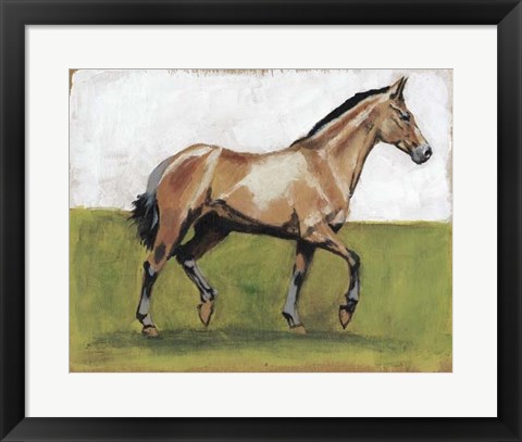 Framed Equestrian Studies III Print