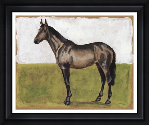 Framed Equestrian Studies IV Print