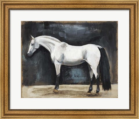 Framed Equestrian Studies VI Print