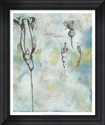 Framed Botanical Abstract II Print