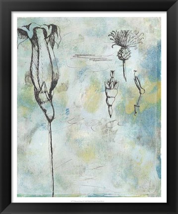 Framed Botanical Abstract II Print