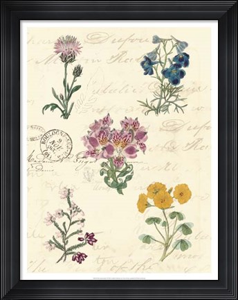 Framed Botanical Journal I Print