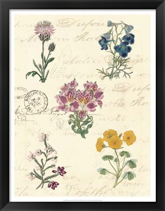 Framed Botanical Journal I Print