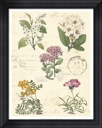Framed Botanical Journal II Print