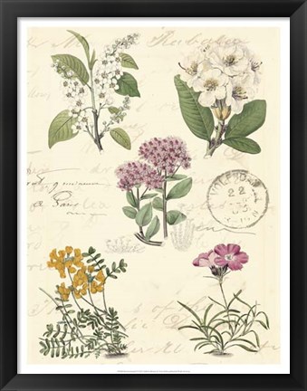 Framed Botanical Journal II Print