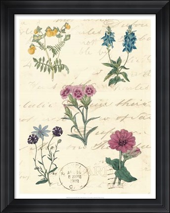 Framed Botanical Journal III Print