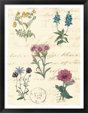 Framed Botanical Journal III Print