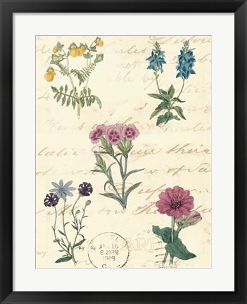 Framed Botanical Journal III Print