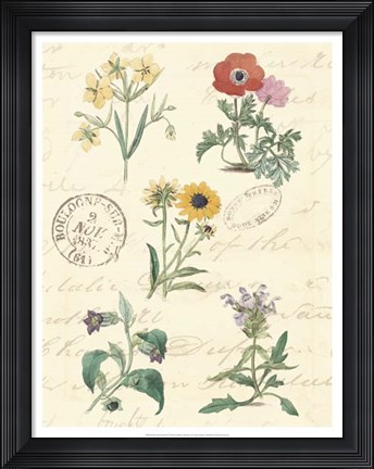 Framed Botanical Journal IV Print
