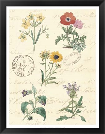 Framed Botanical Journal IV Print