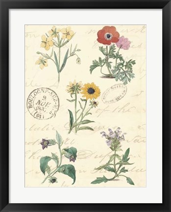 Framed Botanical Journal IV Print