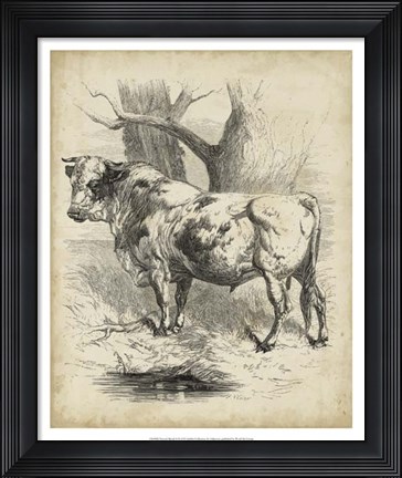 Framed Pastoral Sketch II Print