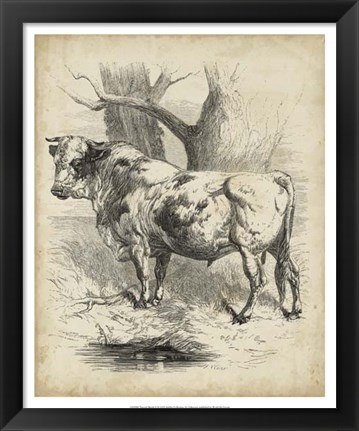 Framed Pastoral Sketch II Print