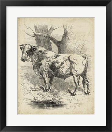 Framed Pastoral Sketch II Print